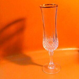 Vintage CRISTAL d’ARQUES Longchamp 5 oz Lead Crystal CHAMPAGNE FLUTES